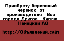 Приобрету березовый черенок  от производителя - Все города Другое » Куплю   . Ненецкий АО